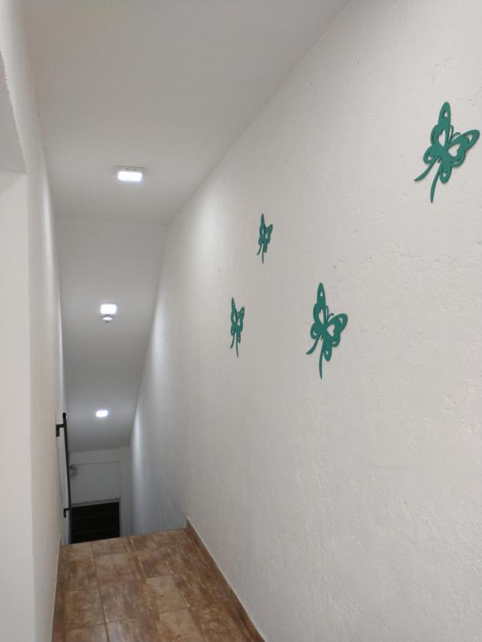 Departamentos Pachamama Appartement Tunuyán Buitenkant foto