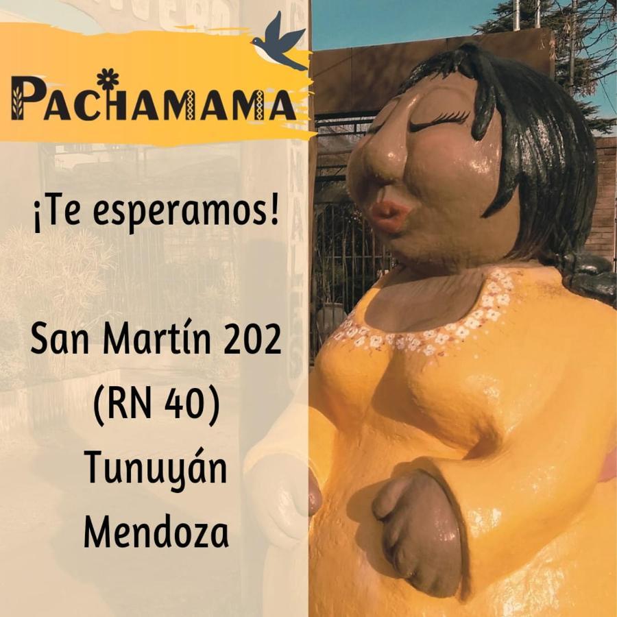 Departamentos Pachamama Appartement Tunuyán Buitenkant foto